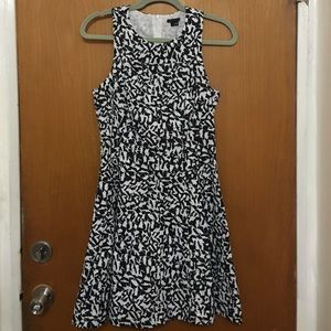 Theory brand- Navy/white Cotton fit and flare