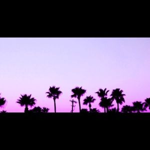 Meet your Posher, Kylee