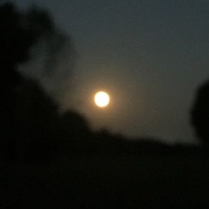 Meet your Posher, Meredith