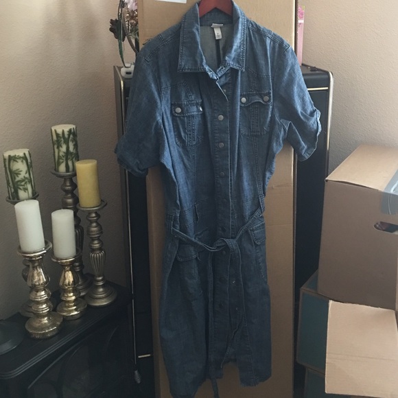 Lane Bryant denim dress