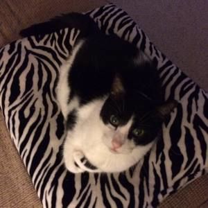 Meet your Posher, Tonya