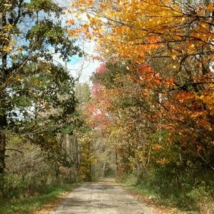 Meet your Posher, Tessa