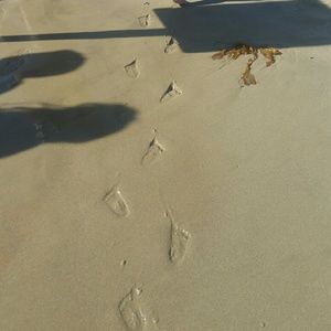 Meet your Posher, Mayra