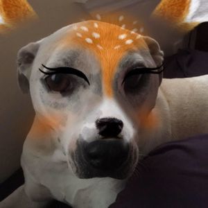 Meet your Posher, Michelleandbilly