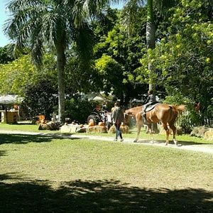 Meet your Posher, Edgar