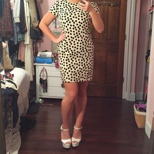 J. Crew Factory Polka-Dot dress