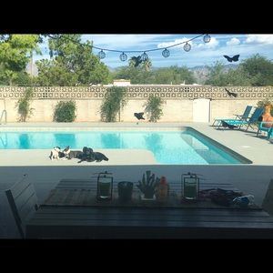 Meet your Posher, Beatrice