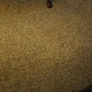 Meet your Posher, Tammi