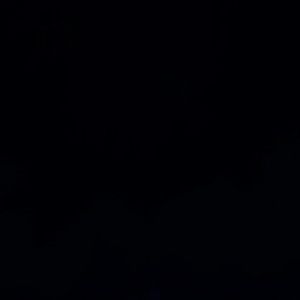 Meet your Posher, Patty