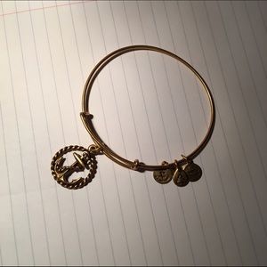 Alex and Ani Gold Anchor bracelet