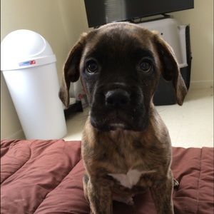 Meet your Posher, Samantha