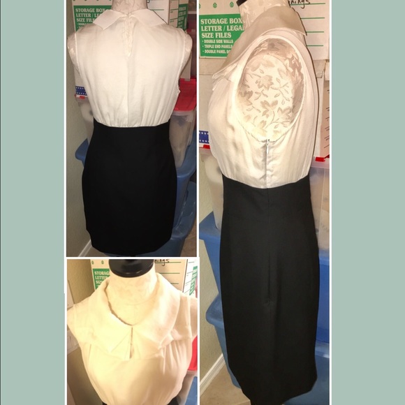 Silky Fitted Dress