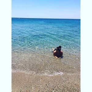 Meet your Posher, Artemis