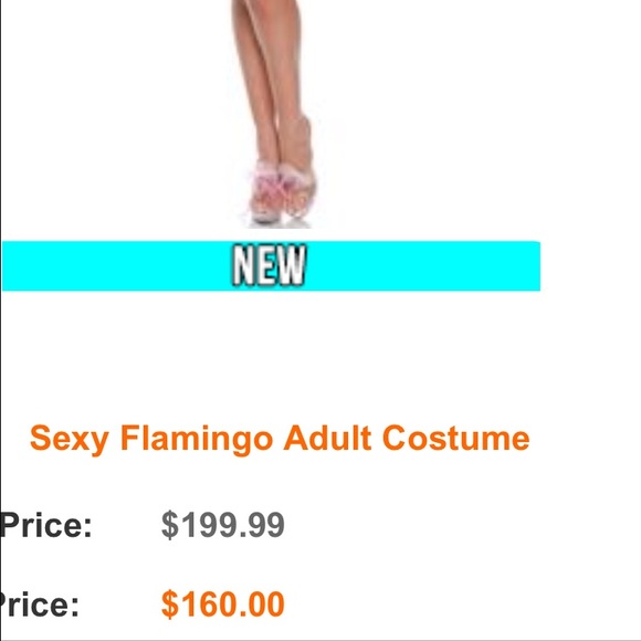 Halloween costume. RESERVED FOR C_TAVAREZ - Picture 3 of 3