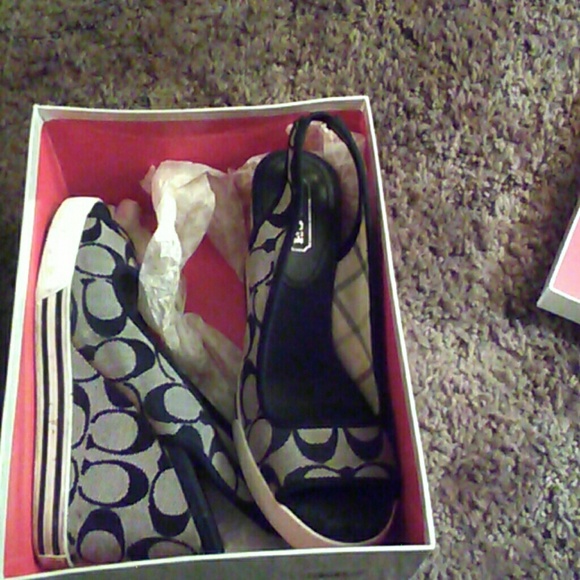 Coach Sydney 12cm/ctn twl - Picture 2 of 2