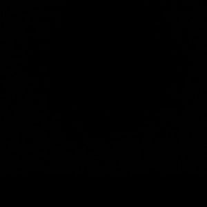 Meet your Posher, Mia