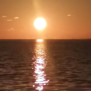 Meet your Posher, Fernando