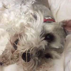 Meet your Posher, Teri