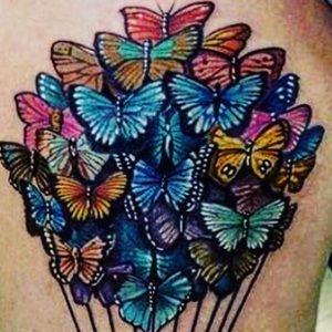 Meet your Posher, Priscilla