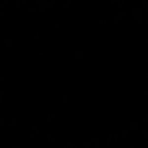 Meet your Posher, Rose