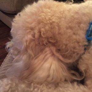 Meet your Posher, Kim