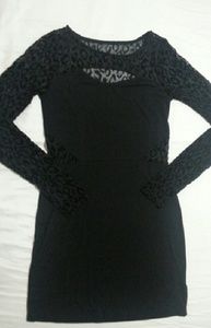Sheer Longsleeve Little Black Casual Dress