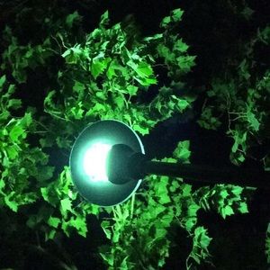 Meet your Posher, Bryan