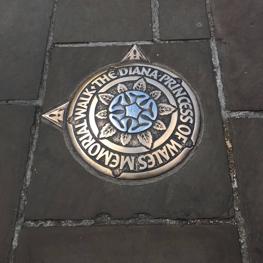 Meet your Posher, Sandy