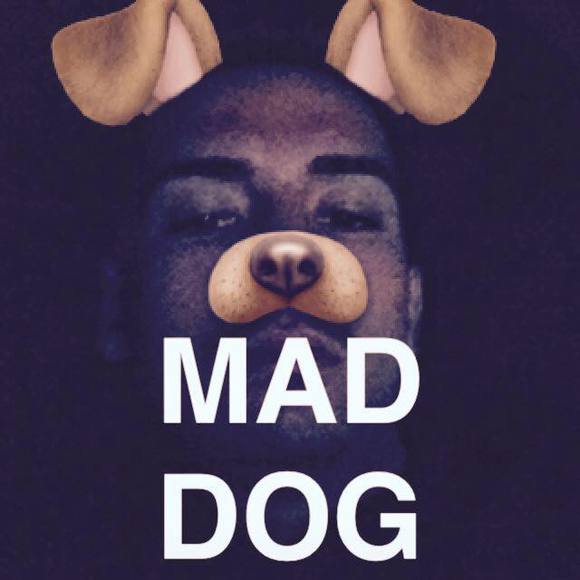 Meet your Posher, Joey - Picture 1 of 1