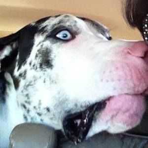 Meet your Posher, Tracy