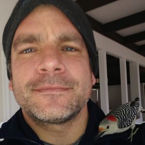 Meet your Posher, David