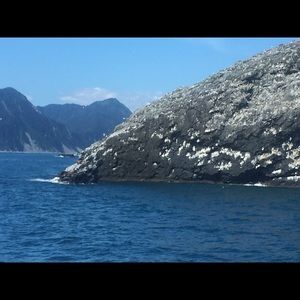 Meet your Posher, Melrina