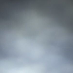 Meet your Posher, Darius