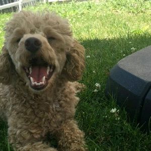 Meet your Posher, Brianna