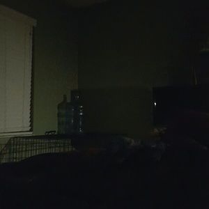 Meet your Posher, Guy