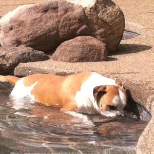 Meet your Posher, Angie