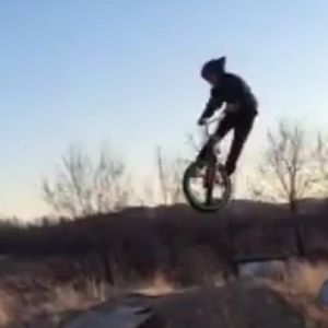 Meet your Posher, Dillon