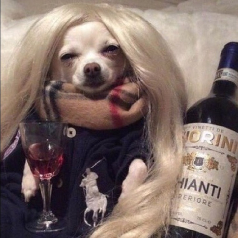 Meet your Posher, Poppy