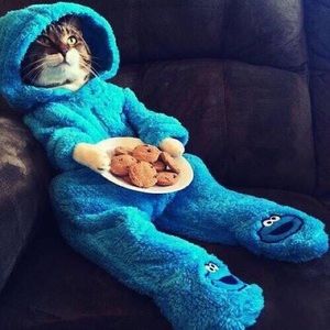 Meet your Posher, Carlos