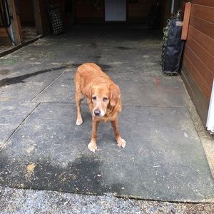 Meet your Posher, Anne marie