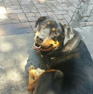 Meet your Posher, Fatima