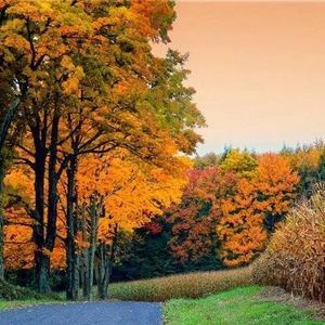 Meet your Posher, Jeff