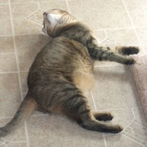 Meet your Posher, Cathy