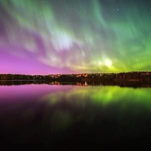 Meet your Posher, Janet