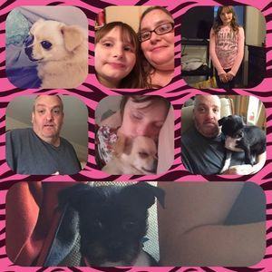 Meet your Posher, Melissa