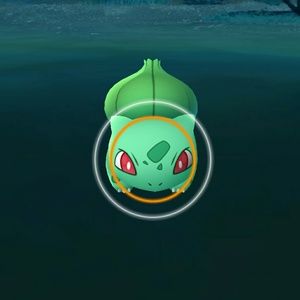 Meet your Posher, Kenneth