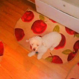 Meet your Posher, Trecious