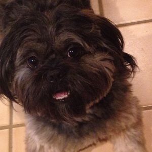 Meet your Posher, Winnie