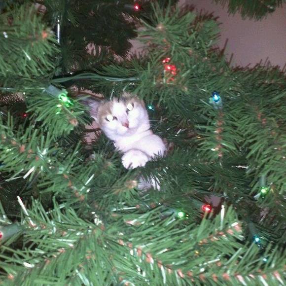 Meet your Posher, Jill - Picture 1 of 1