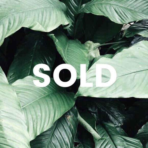 ✨ BEYOND THIS POINT HAS BEEN SOLD ✨